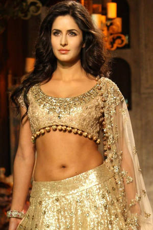 Katrina Kaif Sexy - 