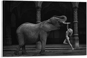Elephant Porn - Bathroom Decor Wall Art Sexy Woman The Elephant Porn Posters Canvas Picture  For Living Room Bedroom Office Kitchen Decor50x75cm : Amazon.com.au: Home