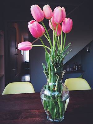 Flower Porn - Flower Porn with Tulips at SPENK Tower | Markus Spiering | Flickr