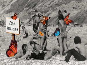 friends on the beach nude - What It's Like to Vacation Naked at a Naturist Resort