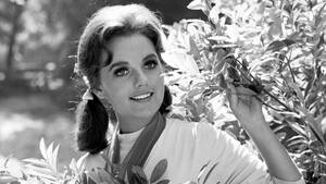 dawn wells anal sex - Dawn Wells, Mary Ann on 'Gilligan's Island,' dies of Covid-19 complications  at 82 : r/news