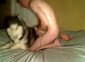 Man Fucks Female Siberian Husky - Young Guy Fucks Husky Gaybeast.Com - Bestiality Porn Movie - Katitube Kinky  Sex