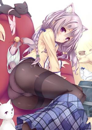 Anime Neko Lesbian Porn - Sexy catgirls and stuff : Photo