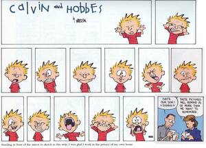 Calvin And Hobbes Mom - I ...