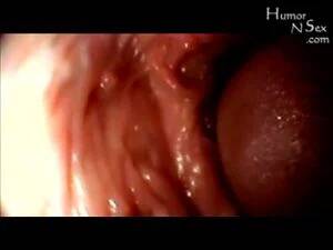 internal cam porn - Watch internal cam - Educational, Internal Cumshot, Hardcore Porn -  SpankBang