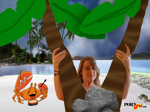 Beach Porn Memes - Dear family, I'm having a great time in Hawaii. I'm sending you a photo of  me at the beach.