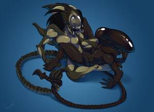 Alien Vs Predator Lesbian Porn - Rule 34 - alien alien (franchise) alien girl alien only alien vs predator  astrozerk athletic female breasts claws eyeless female female xenomorph  female yautja mandibles multiple girls nipples nude open mouth plain