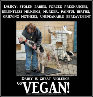 Caption Porn Milk Theft - Fucking monsters. Millions of animals are killed each year, and killed  BRUTALLY. Oh, but how's your cheeseburger? | quotes | Pinterest | Monsters,  Animal ...