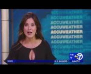 Aimee Freeze Porn - Amy Freeze Brassiere Buster Puts Puppies On Full Display August 12, 2018  from brassierx Watch Video - MyPornVid.fun