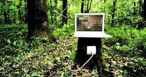 Earth Day Porn - porn-and-the-environment-earth-day-forest