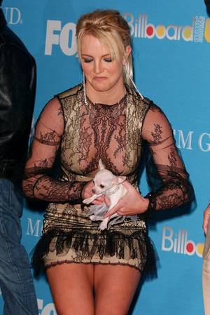 Britney Spears Sexy Magazine - Britney Spears Fully Bared Breasts - Tits - Boobs | Nude Naked Pussy Slip  Celebrity