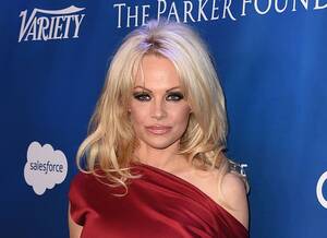 Baylee Curran Porn - Pamela Anderson says porn is for 'losers'; LiLo single; Kacey Jones dead:  AM Buzz - syracuse.com