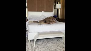 las vegas interracial sex - Interracial Sex after a Night out in Vegas - Pornhub.com