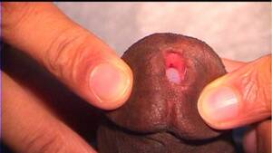 dick in pee hole - Dick In Pee Hole Videos Porno | Pornhub.com