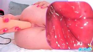 anal dildo cam - Anal Dildo Cam Porn - Anal Dildo Masturbation & Anal Dildo Riding Videos -  SpankBang