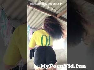 fat bbw shemale sex - fatgay #bbw #trans #tgirls #shemale #cute #hot from hot bbw shemale sex xxx  Watch Video - MyPornVid.fun