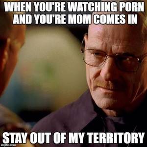 Funny Bad Porn - When youÂ´re watching porn and your mom comes in - Breaking Bad meme -