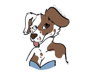 Australian Shepherd Furry Gay Porn - OC) Dog Doodle : r/furry