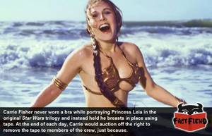 Auction Porn Actress Caption - There's Probably a Picture of Princess Leia's Breasts Somewhere - Fact Fiend