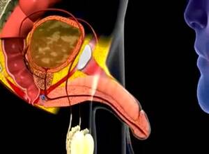 Cartoon Cum In Mouth Porn - Its.PORN - Cum in mouth animation