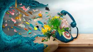 Boy Forces Cougar Porn - How Not to Buy a Timeshare - The Atlantic