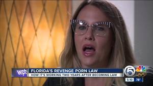 Florida Porn - Florida's revenge porn law