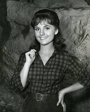 dawn wells nude porn cartoon - Dawn Wells, 1962