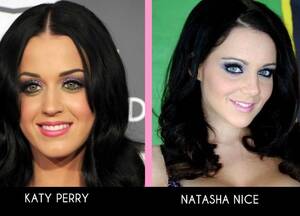 Black Celebrity Porn Look Alike - The top 10 celebrity pornstar lookalikes | Porn Dude - Blog