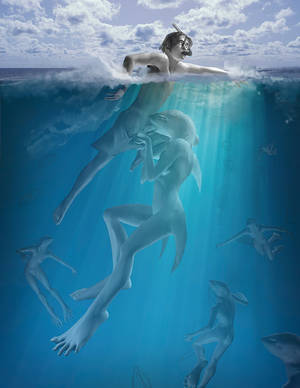 E621 Furry Blowjob - e621 ambient_fish anthro brown_hair clothed clothing cool_colors erection  eyes_closed fellatio female fish group hair hattonslayden human