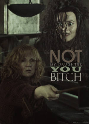 Harry Potter Bellatrix Porn - Harry Potter Vs. Twilight wallpaper probably with a sign and a cymbal  called Molly pwns