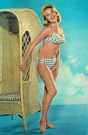 Gomer Pyle Fake Porn - 1960s â€“ Whimsically Classic