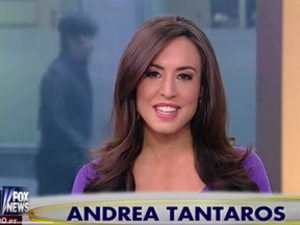 Andrea Tantaros Sex Tape - Andrea-Tantaros | National Post
