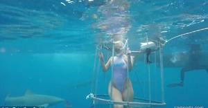 Cage Underwater - Porn Star attacked by shark during Florida film shoot (Video)
