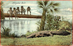 Man Fucks Female Alligator - 1910s: