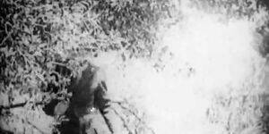 1910 Porn Pee - DELTAOFVENUS - Piss: Porno antiguo de la dÃ©cada de 1910 - Un viaje gratis -  Tnaflix.com