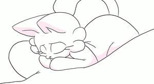 Cat Furry Xxx Tumblr - Lotion cat - ThisVid.com