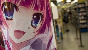 Anime Toddler Porn - Media player A man shops in a graphic novel book store in Akihabara on June  19, 2014
