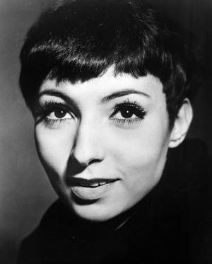 Marlene Willoughby Porn - Marlene Willoughby: <br />The Scrapbook of an Actress