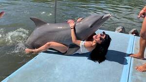 Dolphin Sex Porn - Mail Online Videos: Top News & Viral Videos, Clips & Footage | Daily Mail  Online