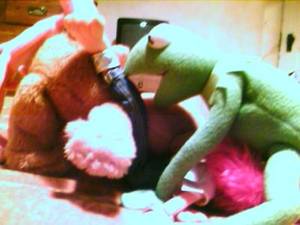 Muppet Orgy - Ariel View of the golden velvet porn bed spread: