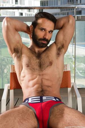 Hairy Gay Male Porn Stars - Hairy Guys in Undie Aybars