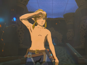 link from zelda naked - Characters react to a naked Link in 'Zelda: Breath of the Wild' | Mashable
