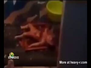 Homemade Ecstasy Porn - Drug High Father Killes Own Daughter