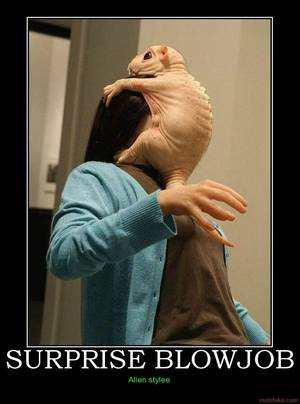 Blowjob Demotivational Posters - demotivational poster SURPRISE BLOWJOB