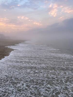 Hidden Beach Voyeur Hd - A Long Hot Walk to Fire Island's Nude Beach | by Patrick O'Connor | The  Memoirist | Medium