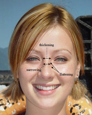 Norwegian Teacher - Norwegian Facial Features