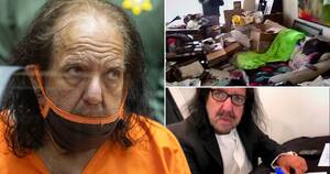 Famous Male Porn Star Hedge Hog - Ron Jeremy shows 'signs of dementia' causing trial delay | Metro News