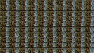 Noelia Marzol Porn - 