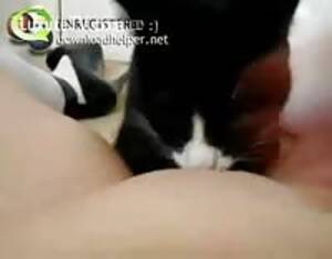 A Girl And Her Cat Porn - Cat licks pussy - Extreme Porn Video - LuxureTV
