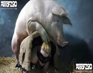 fuck pig - Fucked pig - Extreme Porn Video - LuxureTV